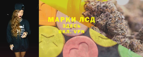 ПСИЛОЦИБИНОВЫЕ ГРИБЫ Туринск