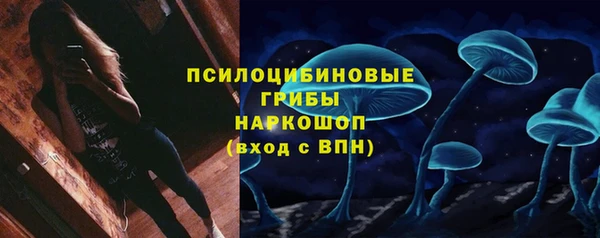 ПСИЛОЦИБИНОВЫЕ ГРИБЫ Туринск