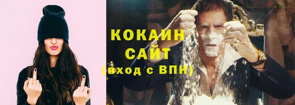 ПСИЛОЦИБИНОВЫЕ ГРИБЫ Туринск