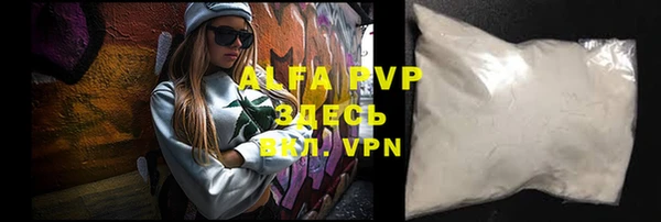 ПСИЛОЦИБИНОВЫЕ ГРИБЫ Туринск