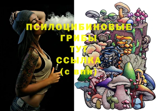 ПСИЛОЦИБИНОВЫЕ ГРИБЫ Туринск