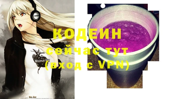 ПСИЛОЦИБИНОВЫЕ ГРИБЫ Туринск