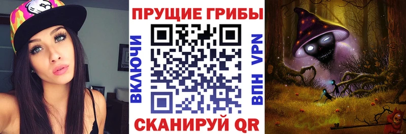Купить  Наро-Фоминск  Галлюциногенные грибы Cubensis 
